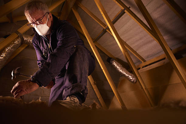 Best Insulation Installation Services in Mayfield, PA